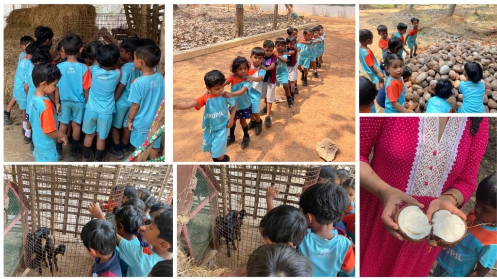 Harvesting Knowledge: Step 1 Farm Exploration at Kuthambakkam at The Pupil International School