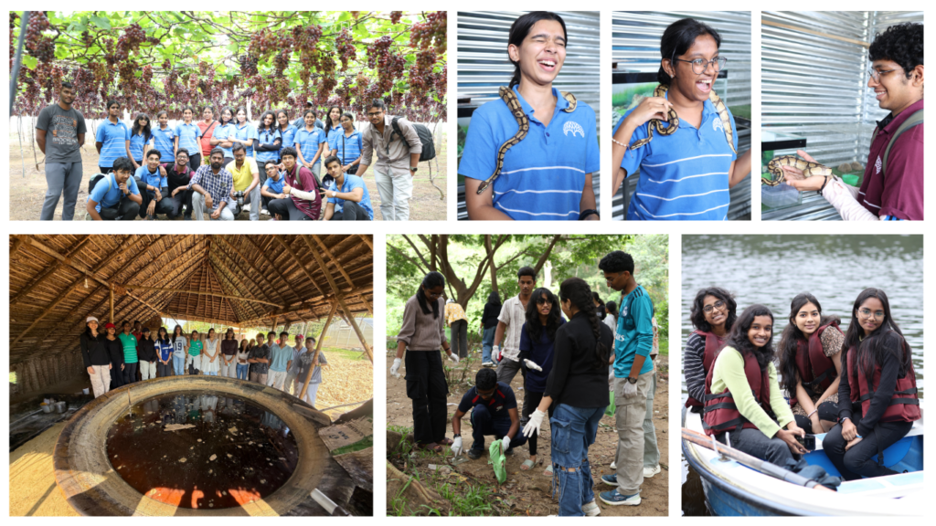 Nature, Service, and Discovery: The CAS Experience at The Pupil International School