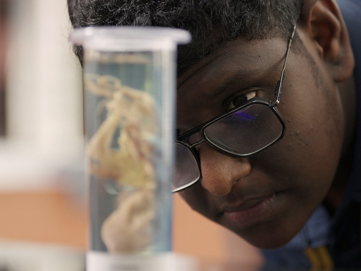 A student studying a specimen jar up close.